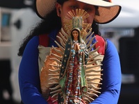 Thousands of Catholic pilgrims continue their journey to the Basilica of Guadalupe for the religious celebration of the Virgin of Guadalupe...