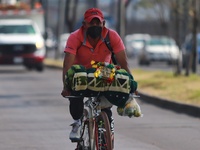 Thousands of Catholic pilgrims continue their journey to the Basilica of Guadalupe for the religious celebration of the Virgin of Guadalupe...