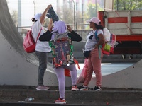 Thousands of Catholic pilgrims continue their journey to the Basilica of Guadalupe for the religious celebration of the Virgin of Guadalupe...