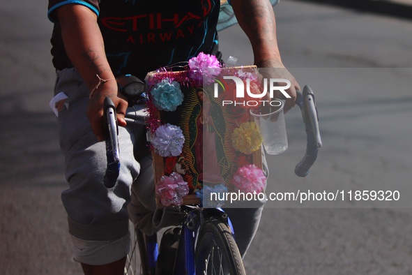 Thousands of Catholic pilgrims continue their journey to the Basilica of Guadalupe for the religious celebration of the Virgin of Guadalupe...