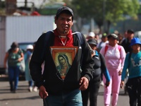 Thousands of Catholic pilgrims continue their journey to the Basilica of Guadalupe for the religious celebration of the Virgin of Guadalupe...