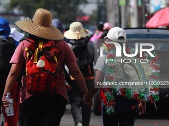 Thousands of Catholic pilgrims continue their journey to the Basilica of Guadalupe for the religious celebration of the Virgin of Guadalupe...