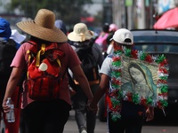 Thousands of Catholic pilgrims continue their journey to the Basilica of Guadalupe for the religious celebration of the Virgin of Guadalupe...