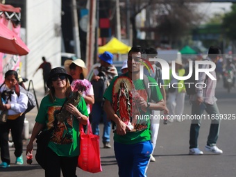 Thousands of Catholic pilgrims continue their journey to the Basilica of Guadalupe for the religious celebration of the Virgin of Guadalupe...