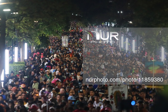 Thousands of Catholic pilgrims arrive at the Basilica of Guadalupe for the religious celebration of the Virgin of Guadalupe Day in Mexico Ci...