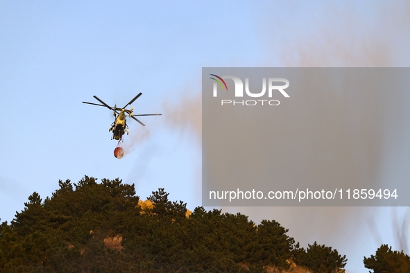 A comprehensive combat drill for forest fire emergency response takes place in Qingdao, China, on December 11, 2024. 