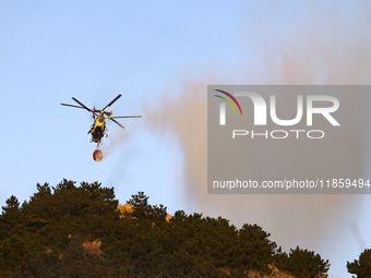 A comprehensive combat drill for forest fire emergency response takes place in Qingdao, China, on December 11, 2024. (