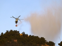 A comprehensive combat drill for forest fire emergency response takes place in Qingdao, China, on December 11, 2024. (