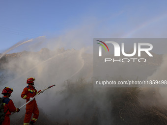 A comprehensive combat drill for forest fire emergency response takes place in Qingdao, China, on December 11, 2024. (