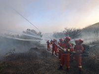 A comprehensive combat drill for forest fire emergency response takes place in Qingdao, China, on December 11, 2024. (