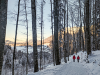 A man and a woman walk through the snowy landscape near Bavarian Oberstdorf in Bavaria, Swabia, Oberallgau, Germany, on January 20, 2024, du...