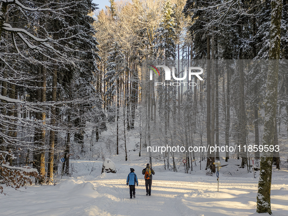 A couple walks through the snowy landscape near Bavarian Oberstdorf in Bavaria, Swabia, Oberallgau, Germany, on January 20, 2024. Oberstdorf...