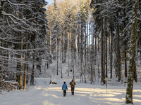 A couple walks through the snowy landscape near Bavarian Oberstdorf in Bavaria, Swabia, Oberallgau, Germany, on January 20, 2024. Oberstdorf...