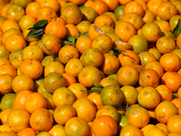 Oranges are pictured at a marketplace in Kathmandu, Nepal, on December 12, 2024. Nepali fruit markets are flooded with oranges as the season...