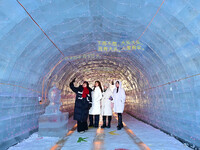 Tourists play at the Manzhouli ''Ice and Snow Nursery Rhyme'' theme park in Hulunbuir, Inner Mongolia, China, on December 12, 2024. (