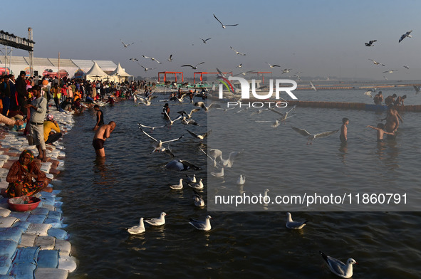 Seagulls fly and float on the Sangam, the confluence of the rivers Ganges, Yamuna, and the mythical Saraswathi, in Prayagraj, India, on Dece...