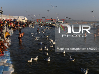 Seagulls fly and float on the Sangam, the confluence of the rivers Ganges, Yamuna, and the mythical Saraswathi, in Prayagraj, India, on Dece...