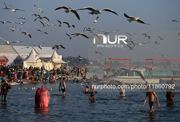 Seagulls fly and float on the Sangam, the confluence of the rivers Ganges, Yamuna, and the mythical Saraswathi, in Prayagraj, India, on Dece...