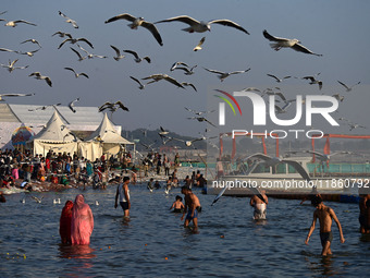 Seagulls fly and float on the Sangam, the confluence of the rivers Ganges, Yamuna, and the mythical Saraswathi, in Prayagraj, India, on Dece...