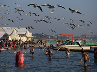 Seagulls fly and float on the Sangam, the confluence of the rivers Ganges, Yamuna, and the mythical Saraswathi, in Prayagraj, India, on Dece...