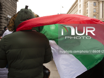 Protesters in Sofia, Bulgaria, on December 12, 2024, defend Bulgarian livestock farming. They do not trust the Bulgarian Food Safety Agency,...