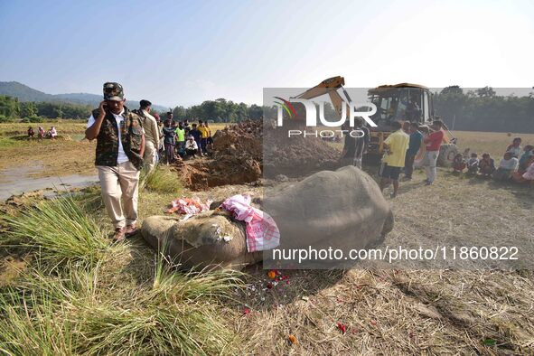 A carcass of an elephant, which according to forest officials died of ill health in a paddy field, is prepared for burial in Kondoli village...