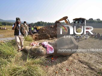 A carcass of an elephant, which according to forest officials died of ill health in a paddy field, is prepared for burial in Kondoli village...