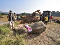 A carcass of an elephant, which according to forest officials died of ill health in a paddy field, is prepared for burial in Kondoli village...