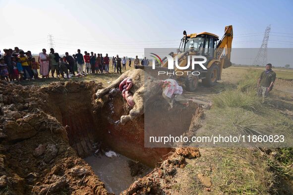 An excavator moves the carcass of an elephant, which forest officials state died of ill health in a paddy field, for its burial in Kondoli v...