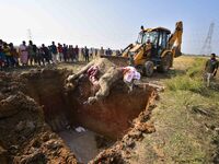 An excavator moves the carcass of an elephant, which forest officials state died of ill health in a paddy field, for its burial in Kondoli v...