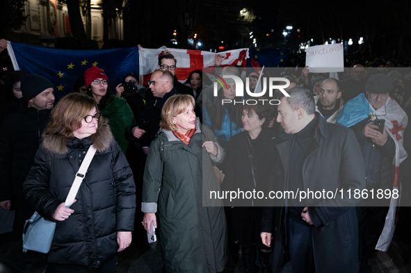 Several MEPs are present during a demonstration against the Georgian government's postponement of European Union accession talks until 2028,...