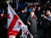 Several MEPs are present during a demonstration against the Georgian government's postponement of European Union accession talks until 2028,...