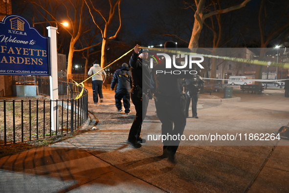 Two people are shot at Lafayette Gardens NYCHA public housing complex in the Bedford-Stuyvesant neighborhood in Brooklyn, New York, United S...