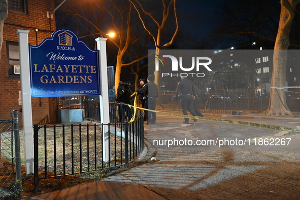 Two people are shot at Lafayette Gardens NYCHA public housing complex in the Bedford-Stuyvesant neighborhood in Brooklyn, New York, United S...