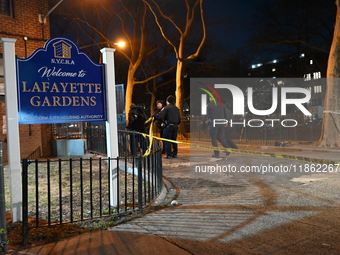 Two people are shot at Lafayette Gardens NYCHA public housing complex in the Bedford-Stuyvesant neighborhood in Brooklyn, New York, United S...