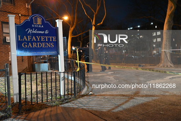 Two people are shot at Lafayette Gardens NYCHA public housing complex in the Bedford-Stuyvesant neighborhood in Brooklyn, New York, United S...