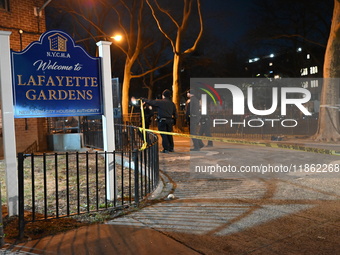 Two people are shot at Lafayette Gardens NYCHA public housing complex in the Bedford-Stuyvesant neighborhood in Brooklyn, New York, United S...