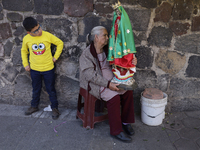 A resident of Santa Maria Tomatlan in the Iztapalapa municipality, Mexico City, carries an image for the celebration of the Day of the Virgi...