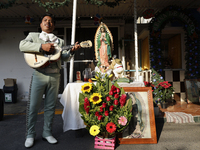 A mariachi sings to the Virgin of Guadalupe in Santa Maria Tomatlan in the Iztapalapa borough, Mexico City, on December 12, 2024, during the...