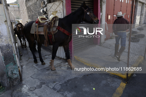 A horse leaves a house in Santa Maria Tomatlan in the Iztapalapa municipality, Mexico City, on December 12, 2024, during the celebration of...