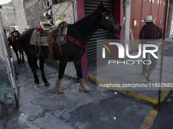 A horse leaves a house in Santa Maria Tomatlan in the Iztapalapa municipality, Mexico City, on December 12, 2024, during the celebration of...