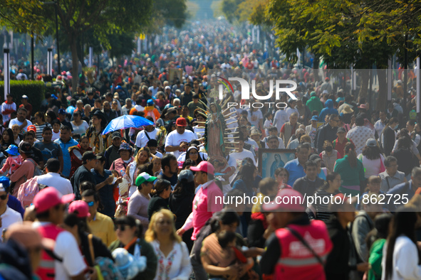 Hundreds of faithful attend the Basilica of Guadalupe to give thanks to the Virgin of Guadalupe for the favors and promises granted as part...