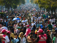 Hundreds of faithful attend the Basilica of Guadalupe to give thanks to the Virgin of Guadalupe for the favors and promises granted as part...