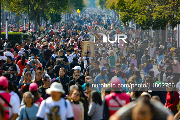 Hundreds of faithful attend the Basilica of Guadalupe to give thanks to the Virgin of Guadalupe for the favors and promises granted as part...