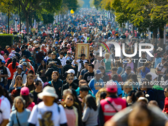 Hundreds of faithful attend the Basilica of Guadalupe to give thanks to the Virgin of Guadalupe for the favors and promises granted as part...