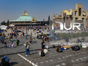 Hundreds of faithful attend the Basilica of Guadalupe to give thanks to the Virgin of Guadalupe for the favors and promises granted as part...