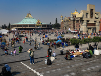 Hundreds of faithful attend the Basilica of Guadalupe to give thanks to the Virgin of Guadalupe for the favors and promises granted as part...