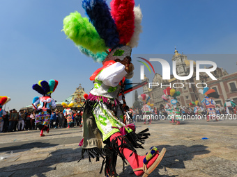 A person dressed in a regional costume takes part in a dance during the celebrations of the Day of the Virgin of Guadalupe in Mexico City, M...