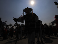 A person dressed in a regional costume takes part in a dance during the celebrations of the Day of the Virgin of Guadalupe in Mexico City, M...