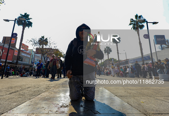 Hundreds of faithful attend the Basilica of Guadalupe to give thanks to the Virgin of Guadalupe for the favors and promises granted as part...